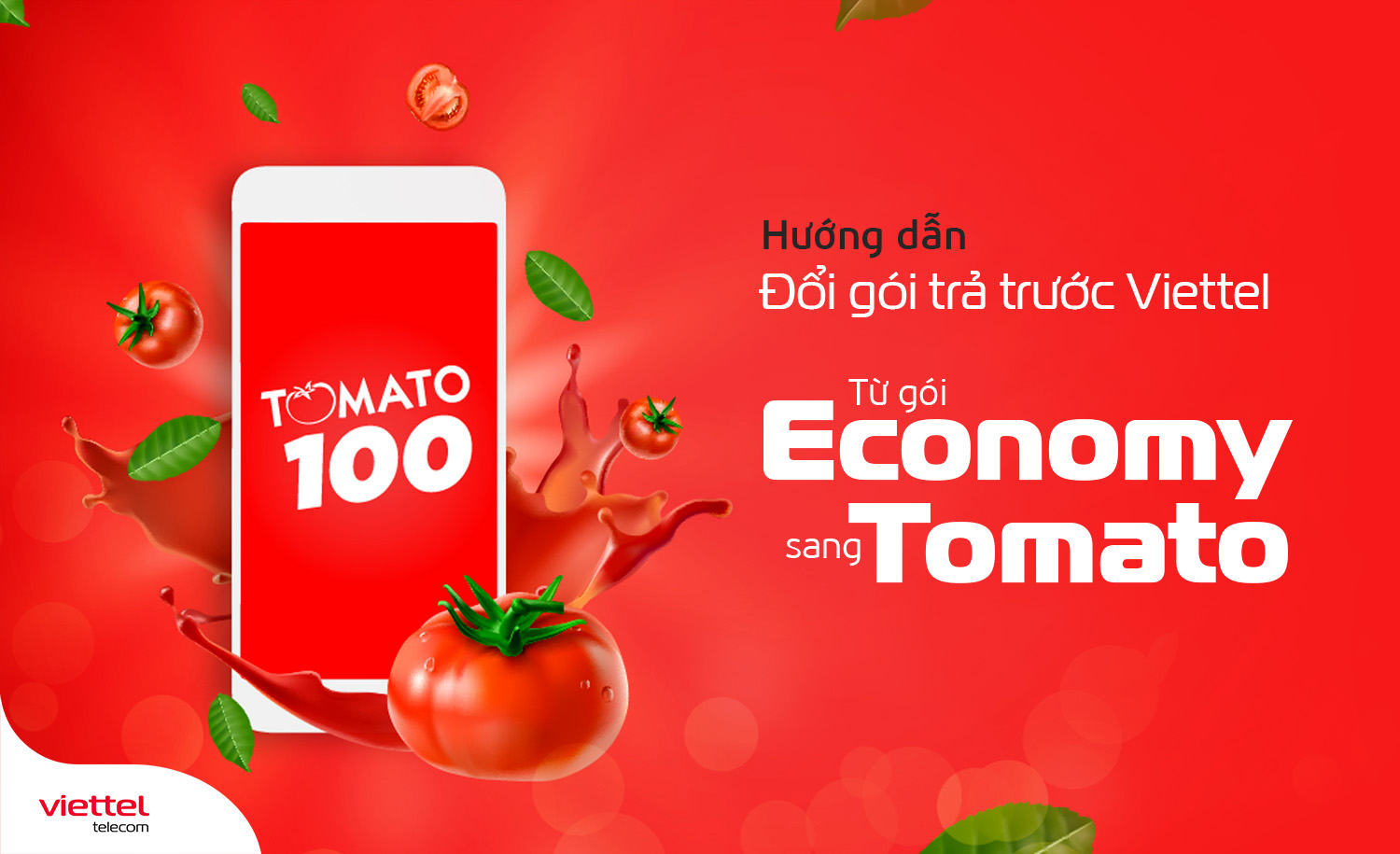 Economy sang Tomato